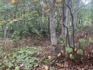 458562886_3967314526833937_7432402402354588466_n