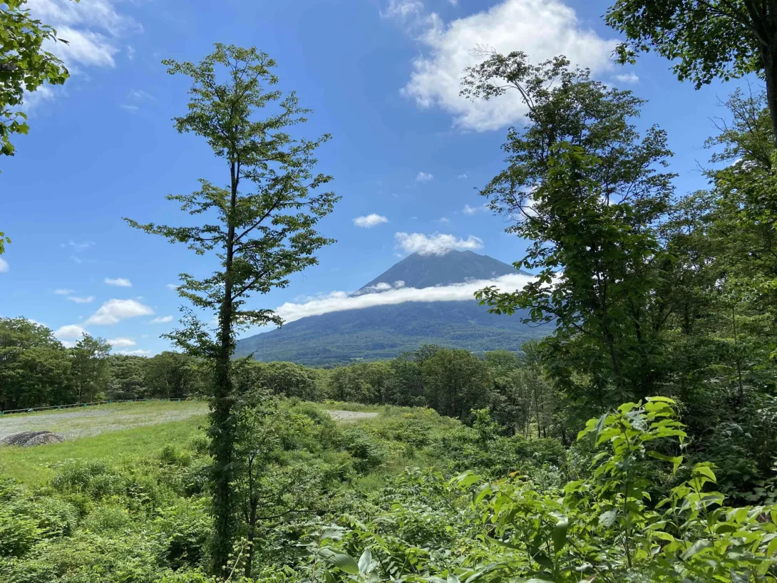 Hirafu Estate_Yotei View